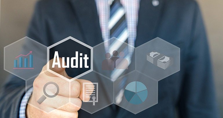 What are the Role of Internal Auditor in Finance?