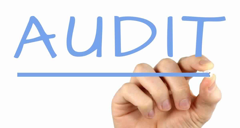 Qualities Needed by an Auditor in DMCC 