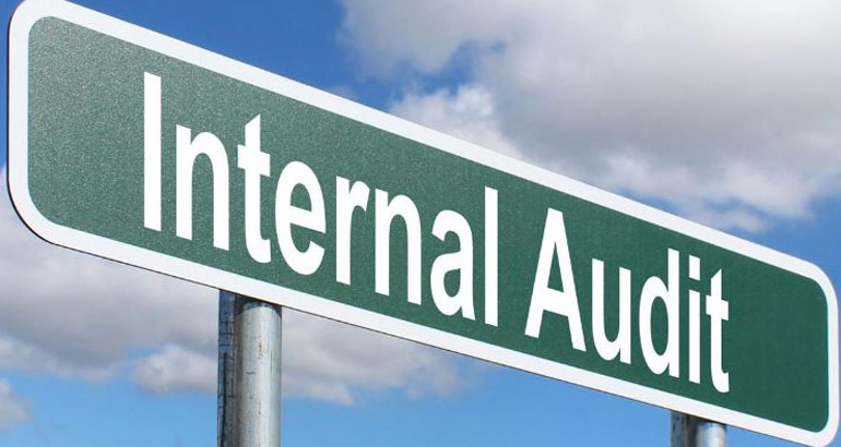A Guide To An Internal Audit Structure