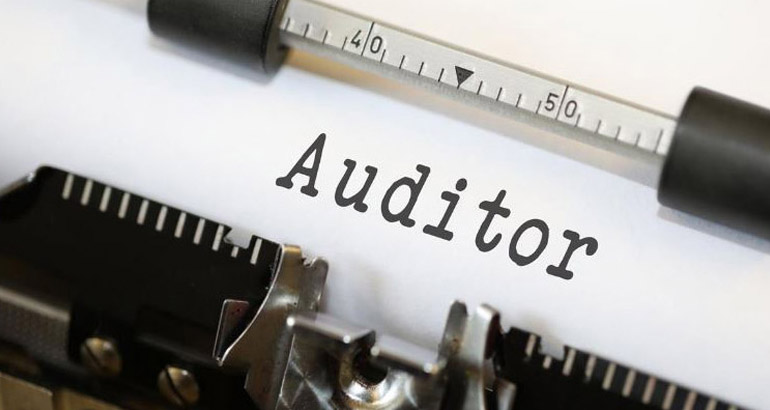 Techniques Used In An Internal Audit Process