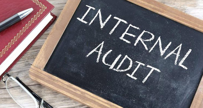 What is an Internal Audit Plan 