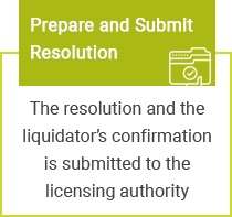 Company Liquidation Process 1: Prepare and Submit Resolution