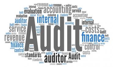 The Future of the Financial Audit