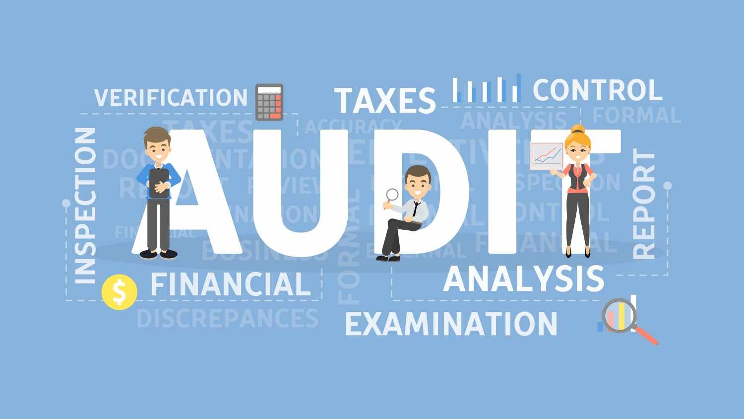 What Are the Key Challenges Facing Auditors in the UAE?