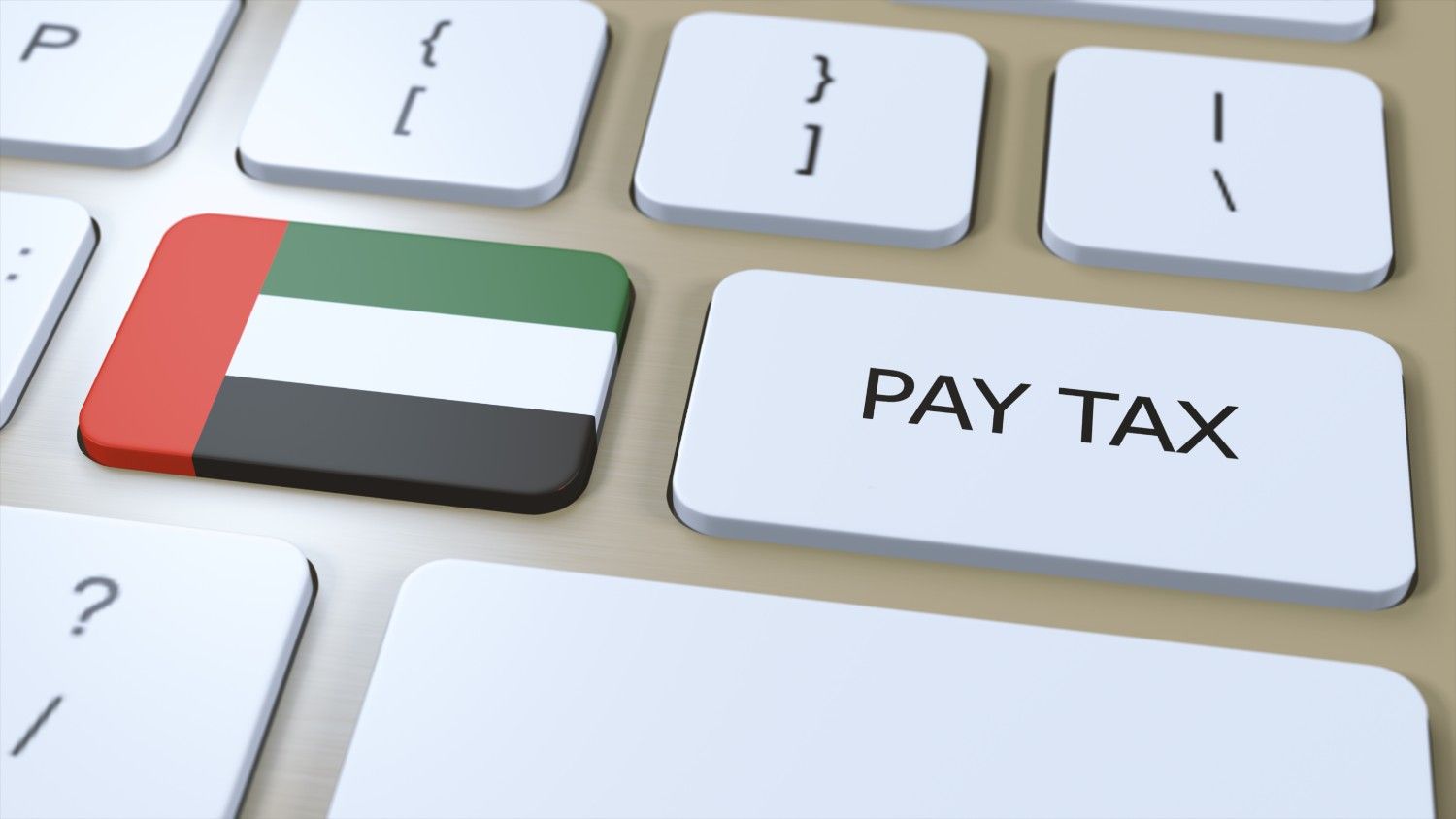 The Impact of VAT and Corporate Tax on Small and Medium Enterprises (SMEs) in the UAE