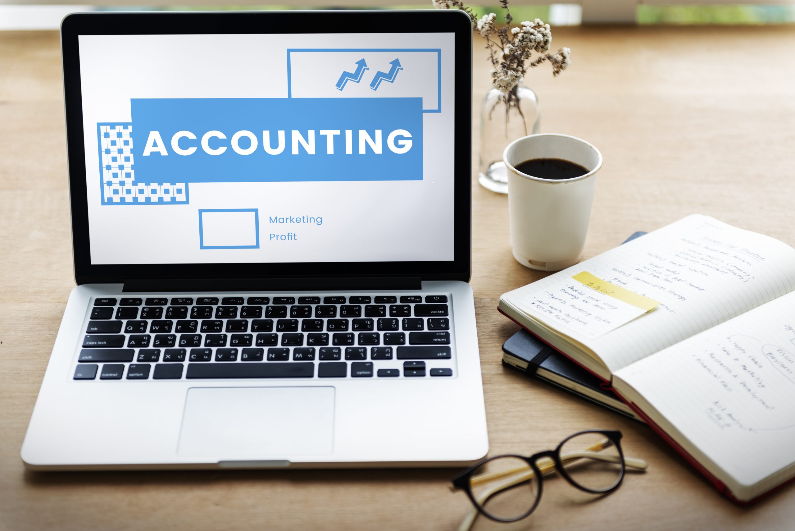 Accelerate Your SME Growth with Expert Accounting Services in the UAE